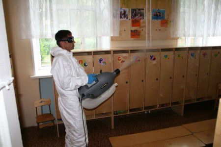 Дератизация и дезинсекция образовательных и медицинских учреждений